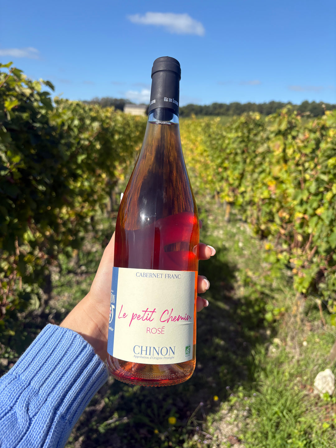 Le Petit Chemin Rosé 2024 - AOC Chinon Rosé 75 cl