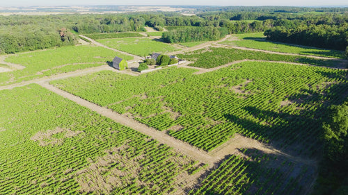 Survol des vignes du Domaine Dozon